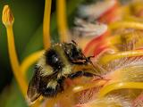 Floral Wonderland 035